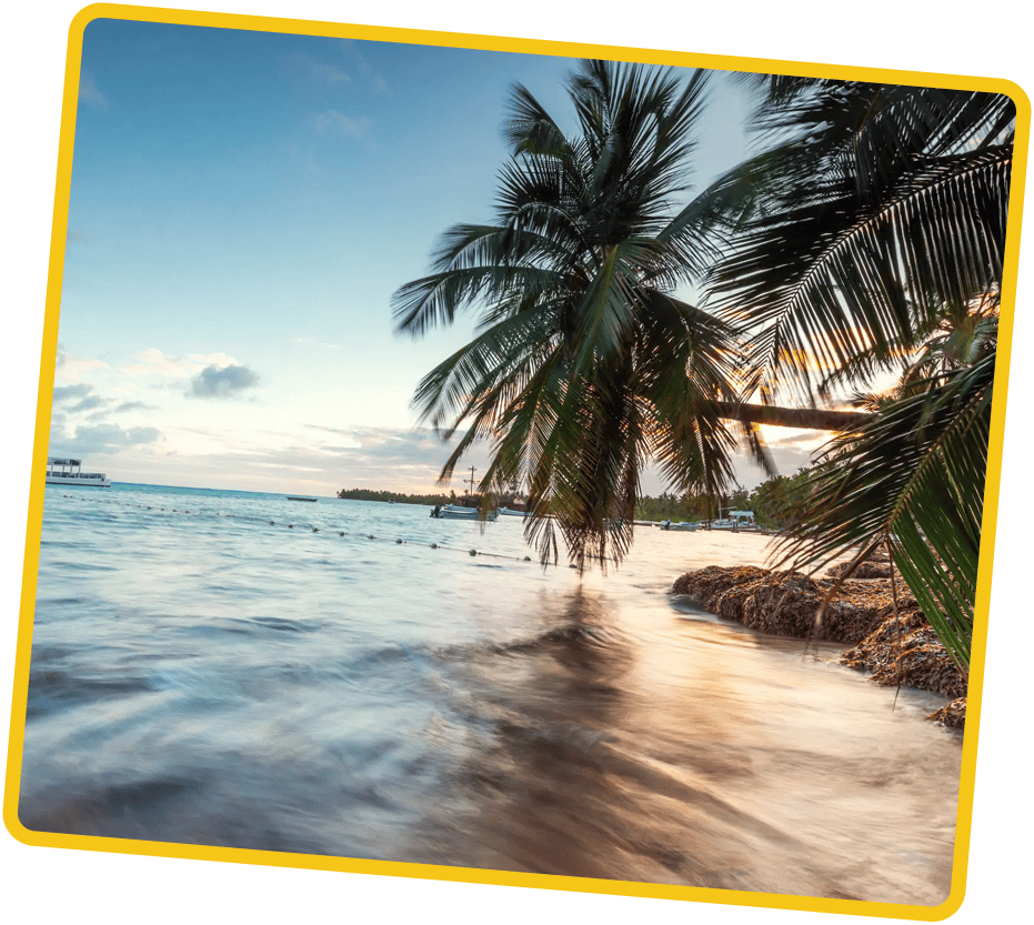 Sunset tropical beach with leaning palm trees